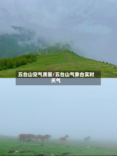 五台山空气质量/五台山气象台实时天气