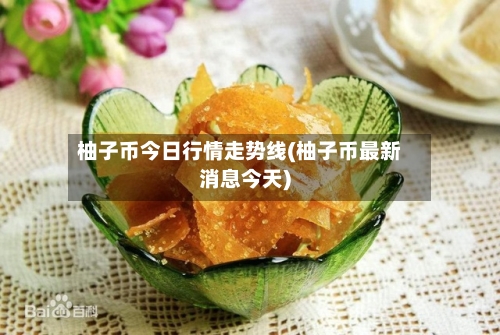 柚子币今日行情走势线(柚子币最新消息今天)