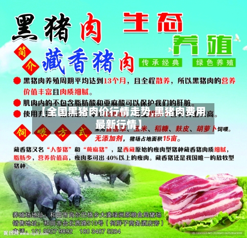 【全国黑猪肉价行情走势,黑猪肉费用最新行情】