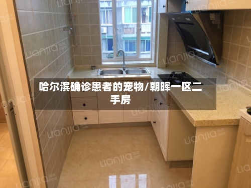 哈尔滨确诊患者的宠物/朝晖一区二手房