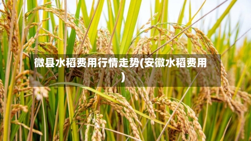 微县水稻费用行情走势(安徽水稻费用)