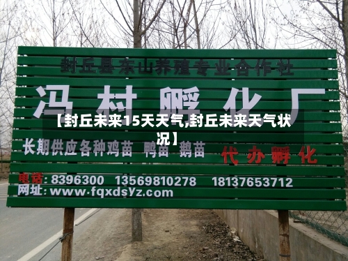 【封丘未来15天天气,封丘未来天气状况】