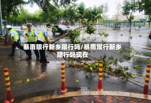 暴雨限行新乡限行吗/暴雨限行新乡限行吗现在