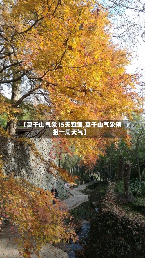 【莫干山气象15天查询,莫干山气象预报一周天气】