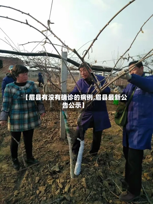 【眉县有没有确诊的病例,眉县最新公告公示】