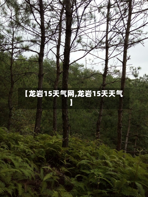 【龙岩15天气网,龙岩15天天气】