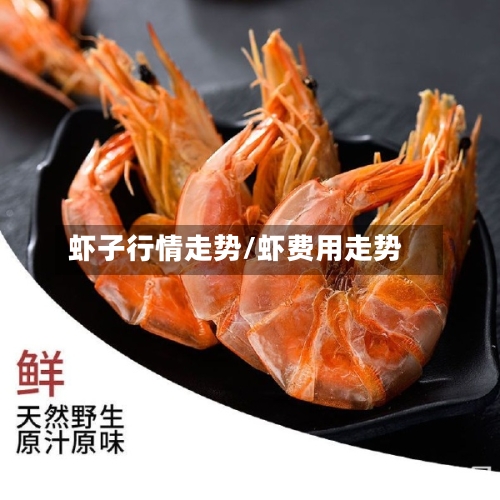 虾子行情走势/虾费用走势