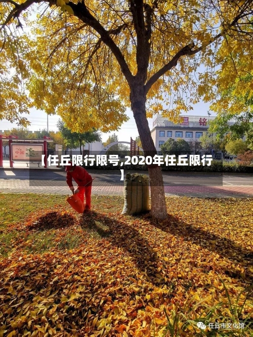 【任丘限行限号,2020年任丘限行】