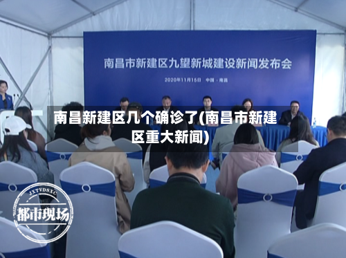 南昌新建区几个确诊了(南昌市新建区重大新闻)