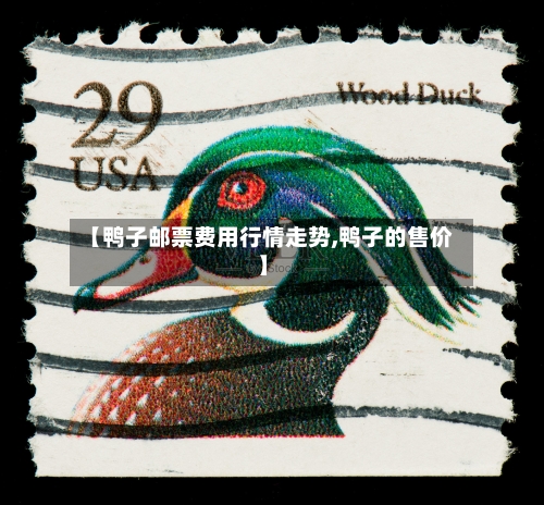 【鸭子邮票费用行情走势,鸭子的售价】