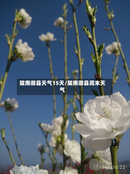 陇南徽县天气15天/陇南徽县周末天气