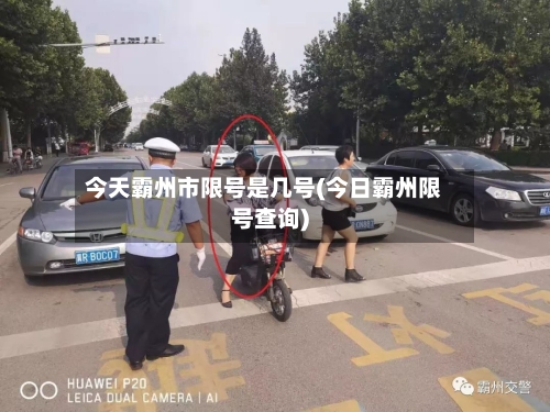 今天霸州市限号是几号(今日霸州限号查询)