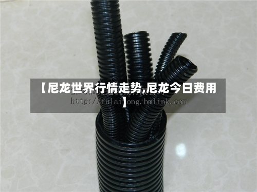 【尼龙世界行情走势,尼龙今日费用】