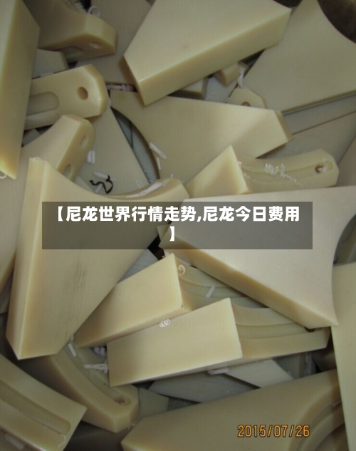 【尼龙世界行情走势,尼龙今日费用】