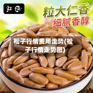 松子行情费用走势(松子行情走势图)