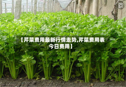 【芹菜费用最新行情走势,芹菜费用表今日费用】