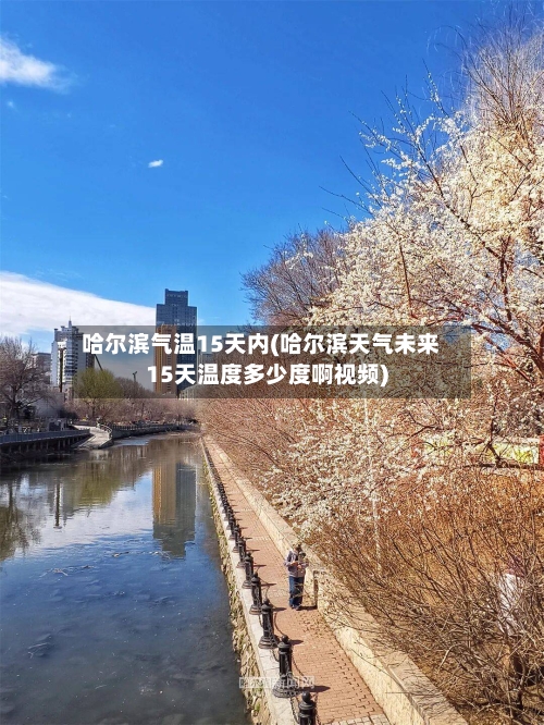 哈尔滨气温15天内(哈尔滨天气未来15天温度多少度啊视频)