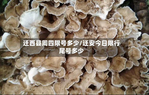 迁西县周四限号多少/迁安今日限行尾号多少
