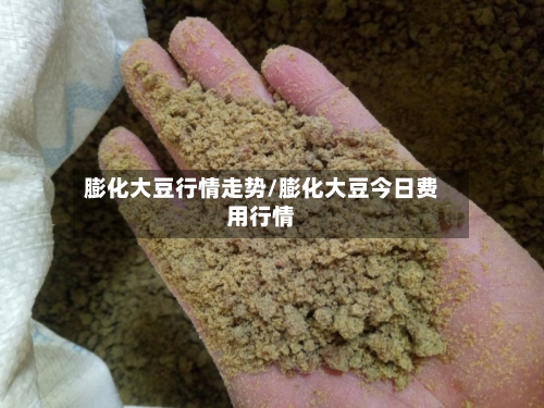 膨化大豆行情走势/膨化大豆今日费用行情