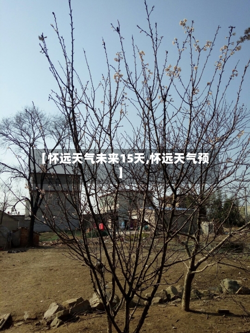 【怀远天气未来15天,怀远天气预】