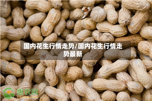 国内花生行情走势/国内花生行情走势最新