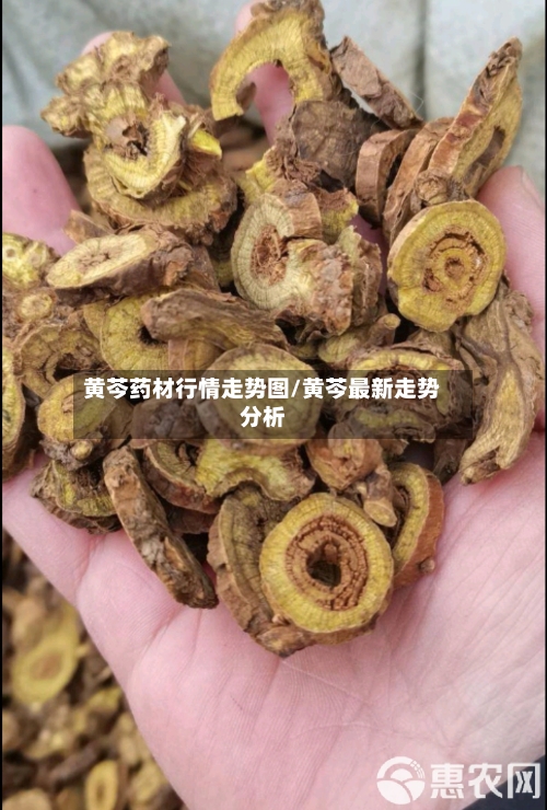 黄芩药材行情走势图/黄芩最新走势分析