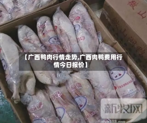 【广西鸭肉行情走势,广西肉鸭费用行情今日报价】