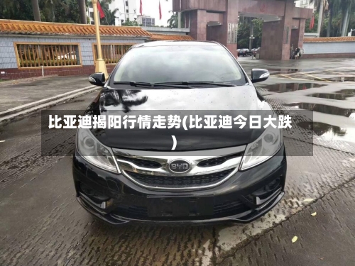 比亚迪揭阳行情走势(比亚迪今日大跌)