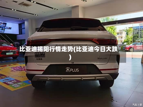 比亚迪揭阳行情走势(比亚迪今日大跌)