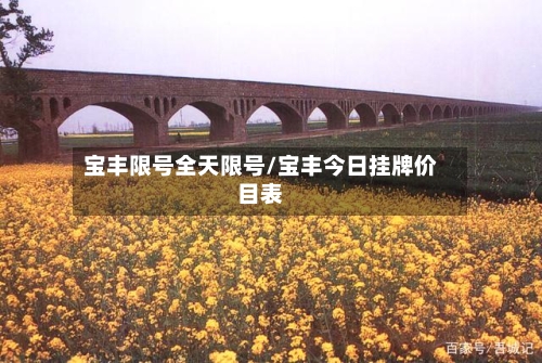 宝丰限号全天限号/宝丰今日挂牌价目表
