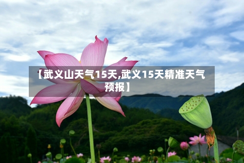 【武义山天气15天,武义15天精准天气预报】
