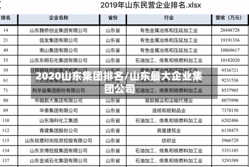 2020山东集团排名/山东最大企业集团公司