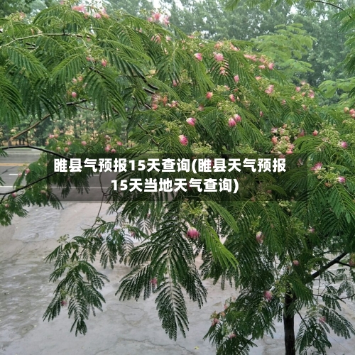 睢县气预报15天查询(睢县天气预报15天当地天气查询)