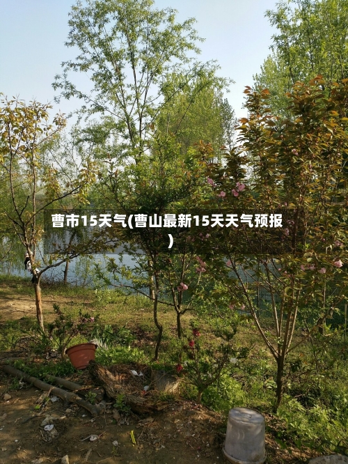 曹市15天气(曹山最新15天天气预报)