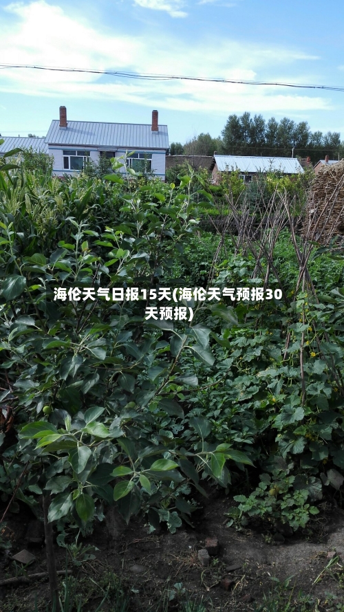 海伦天气日报15天(海伦天气预报30天预报)
