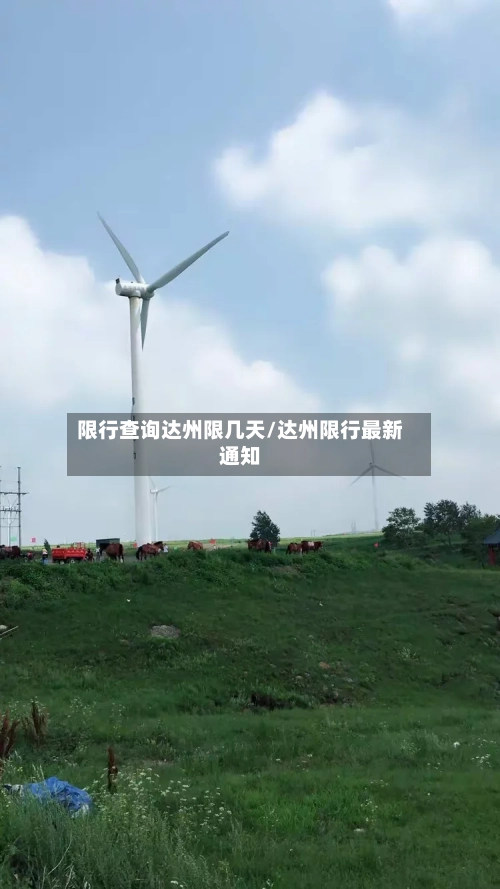 限行查询达州限几天/达州限行最新通知