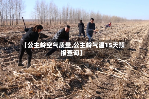 【公主岭空气质量,公主岭气温15天预报查询】