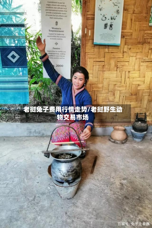 老挝兔子费用行情走势/老挝野生动物交易市场
