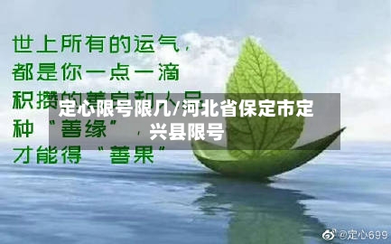 定心限号限几/河北省保定市定兴县限号