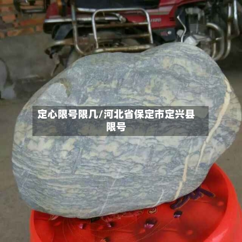 定心限号限几/河北省保定市定兴县限号