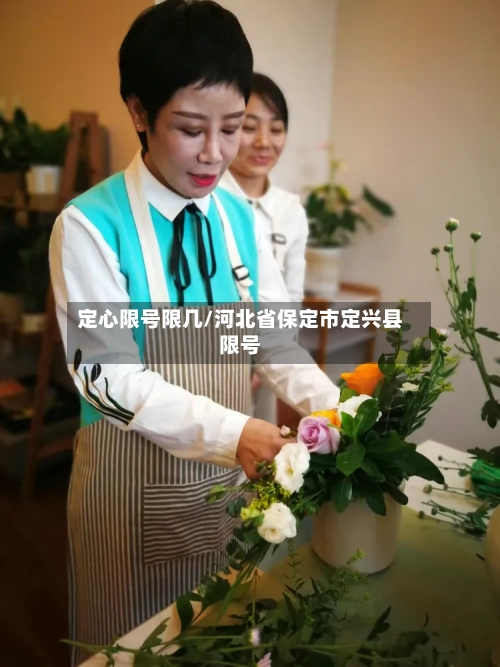 定心限号限几/河北省保定市定兴县限号