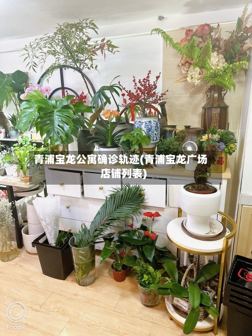 青浦宝龙公寓确诊轨迹(青浦宝龙广场店铺列表)