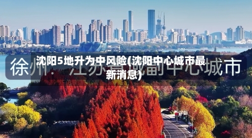 沈阳5地升为中风险(沈阳中心城市最新消息)