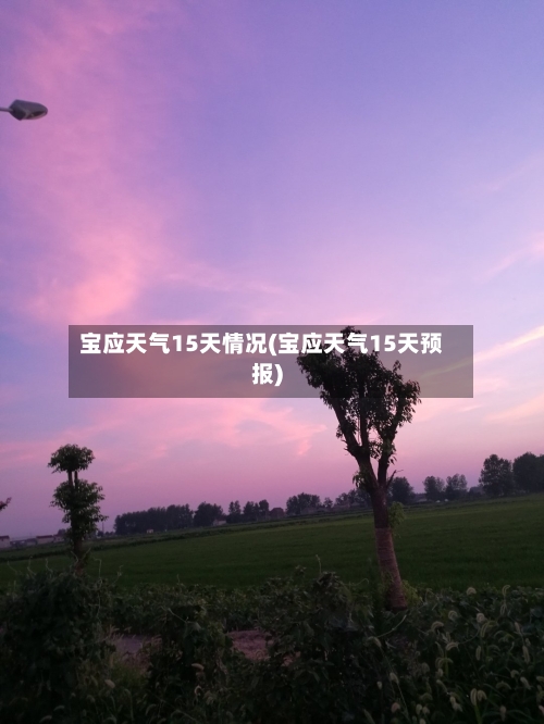 宝应天气15天情况(宝应天气15天预报)