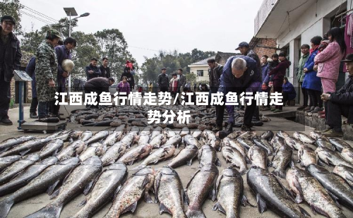 江西成鱼行情走势/江西成鱼行情走势分析