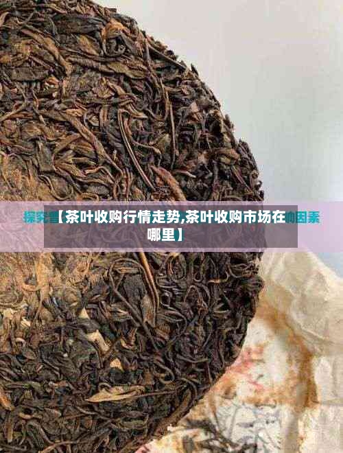 【茶叶收购行情走势,茶叶收购市场在哪里】