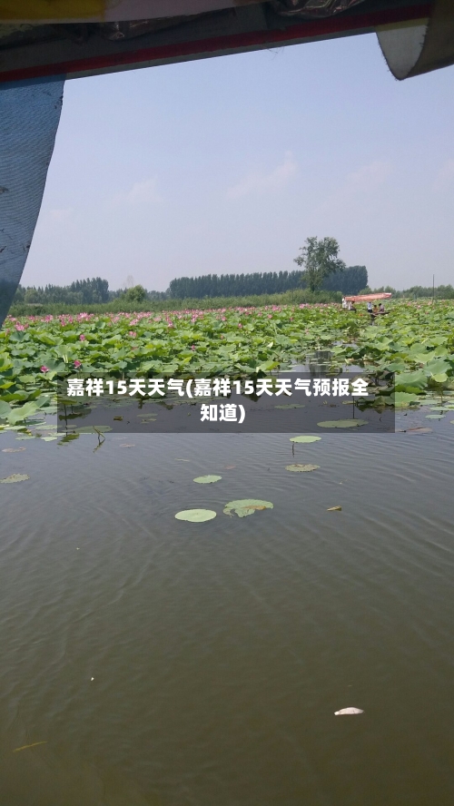 嘉祥15天天气(嘉祥15天天气预报全知道)