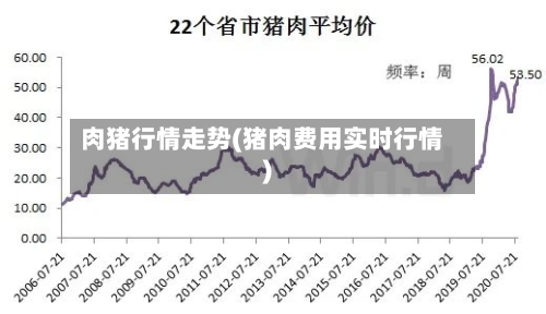 肉猪行情走势(猪肉费用实时行情)