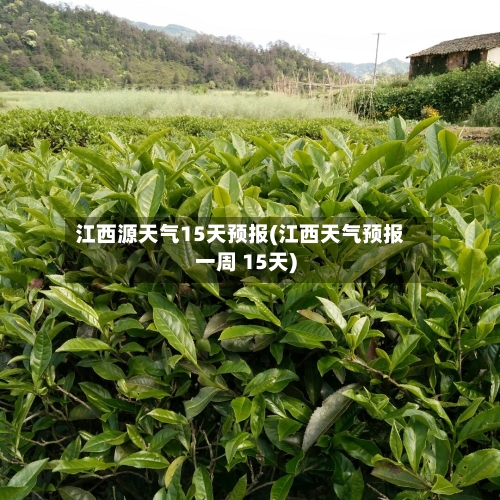 江西源天气15天预报(江西天气预报一周 15天)