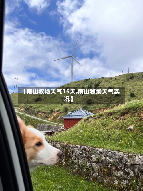 【南山牧场天气15天,南山牧场天气实况】